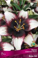 Лилия Азиатская Танго Блэк Ай 