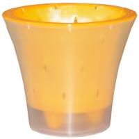 Кашпо д/орх Ванда 6л прозрачный с желтой вставкой 25*17,5см ВД25-04 /5шт/ЛГ