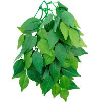 Растение Фикус 002TP 300мм Repti-Zoo/84045013/Триол