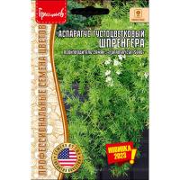 Редкие растения Аспарагус густоцветковый Шпренгера 3шт 