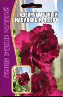 Адениум Малиновый Десерт 3 шт