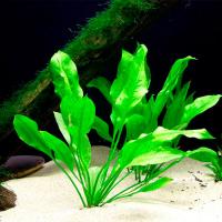 Кочка Кочка