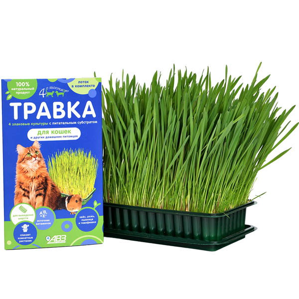Травка д/кошек и др. питомцев 4 с хвостиком (лоток)/AB1754/