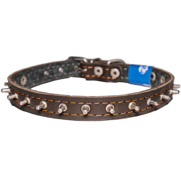 Ошейник кожа 20мм с украшением и шипами на фетре 44-46см/40632