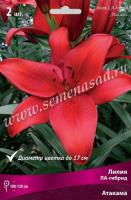 Лилия ЛА-Гибрид Атакама 3шт