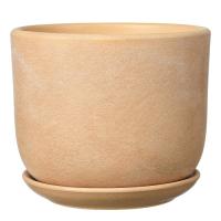 Замша бежевый бук №1 0,8л