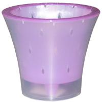 Кашпо д/орх Ванда 6л прозрачный с фиолетовый вставкой 25*17,5см ВД25-05 /5шт/ЛГ