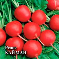 Гавриш Фермерская Редис Кайман 50 гр 