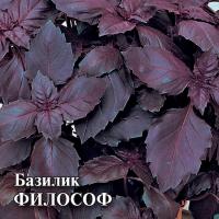 Базилик Философ 50 г