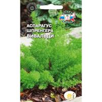 Седек Аспарагус Шпренгера Вивальди