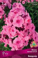 Флокс метельчатый Виндзор (I) 1 шт