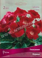 Глоксиния Корина (4/5) 2 шт