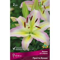 Лилия ОТ-Гибрид Притти Вумен 