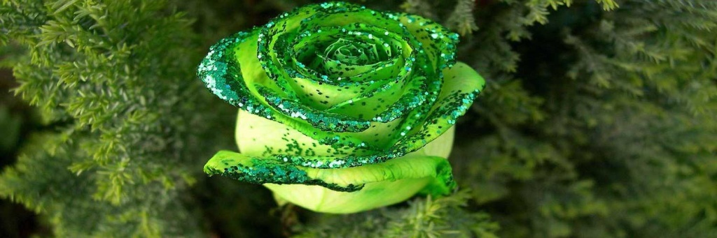 салатовая.jpg салатовая.jpg