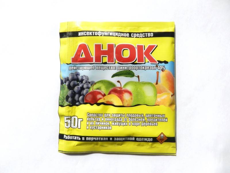 парша яблони парша яблони