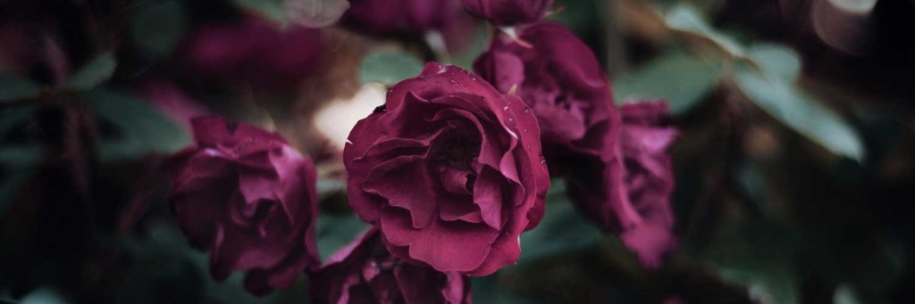 черная-магия.jpg черная-магия.jpg