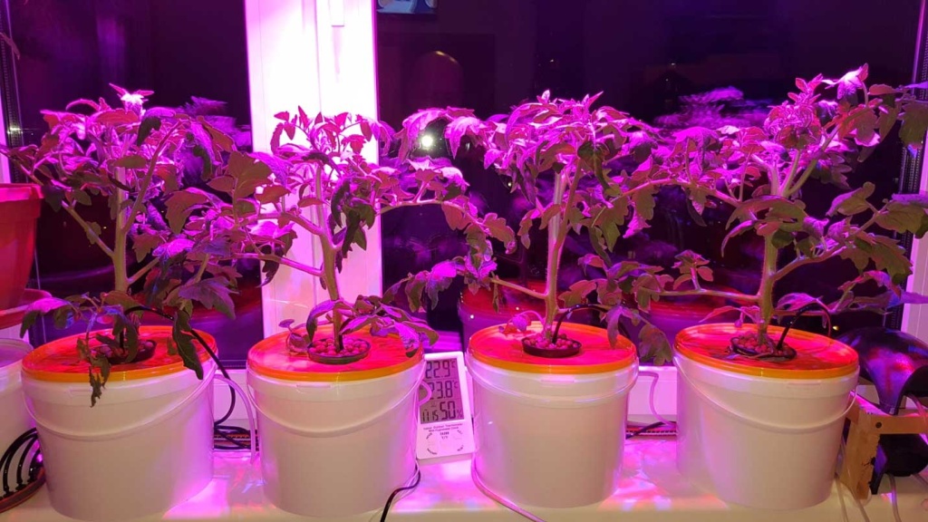 освещение.jpg освещение.jpg