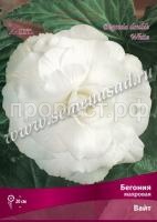 НоменклатураПрисоединенныеФайлы НоменклатураПрисоединенныеФайлы