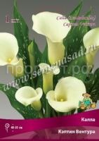 белый белый