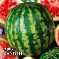 Арбуз Фотон 10 г