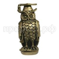 магистр магистр