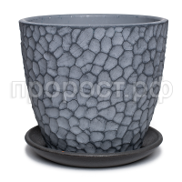 манго серый бутон