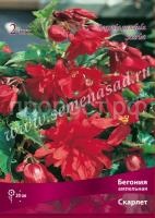 НоменклатураПрисоединенныеФайлы НоменклатураПрисоединенныеФайлы