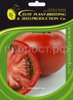 tomat_hortica_f1_es_kupit_elitnye_semena_onlain_dostavka_po_rf_gavrish_shop