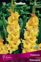 Гладиолус Роксанна Гладиолус Роксанна