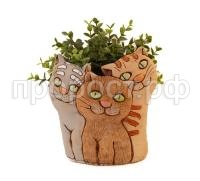 котята милые