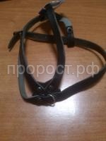 Z-50091 Z-50091