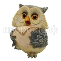 Сова читает