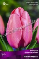 Тюльпан Дарвинов гибрид Пинк Импрешн (розовый с перламутровым оттенком, 10шт, 11-12) 693999 Тюльпан Дарвинов гибрид Пинк Импрешн (розовый с перламутровым оттенком, 10шт, 11-12) 693999