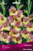 Гладиолус Мон Амур