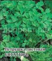 Петрушка Богатырь 100г Петрушка Богатырь 100г