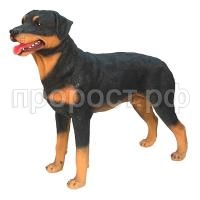 ротвейл ротвейл