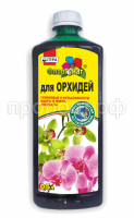 орхид орхид
