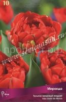 Тюльпан Махровый поздний Миранда (красный, 10шт, 11-12) 540521