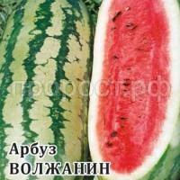 Арбуз Волжанин 50,0 г Арбуз Волжанин 50,0 г