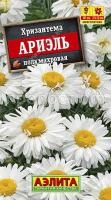 Хризантема Ариэль