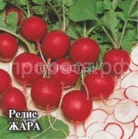 Рисунок44 Рисунок44