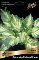 Хоста гибридная Лейксайд Пейсли Принт