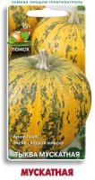 Тыква мускатная Мускатная 10шт Тыква мускатная Мускатная 10шт
