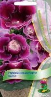 Глоксиния Импресс Парпл Глоксиния Импресс Парпл