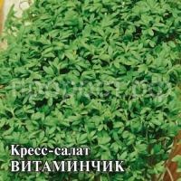 Кресс-салат Витаминчик 100 г Кресс-салат Витаминчик 100 г