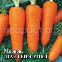 Морковь Шантенэ Роял 100г Морковь Шантенэ Роял 100г