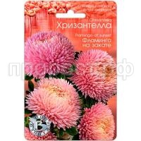 Астра Хризантелла Фламинго на закате 30шт Биотехника Астра Хризантелла Фламинго на закате 30шт Биотехника