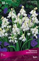 Пролеска колокольчатая Вайт (белая, 10шт, 7-8) 440206