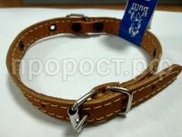 WhatsApp Image 2018-10-24 at 12.24.38(3) WhatsApp Image 2018-10-24 at 12.24.38(3)