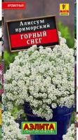 Алиссум Горный снег_ЦП Алиссум Горный снег_ЦП